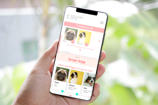 Diseño y desarrollo MVP y Web App